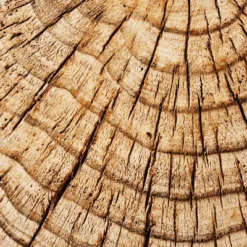 Indoor/Outdoor Faux Concrete Stump Accent Table Brown - Threshold™ Designed With Studio McGee 9 Indoor/Outdoor Faux Concrete Stump Accent Table Brown - Threshold™ Designed With Studio McGee -Threshold Living Room Sales Store GUEST 03deabfd 2b62 4725 94b4 09a321ea8678