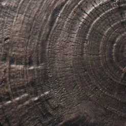 Grantsville Drum Accent Table Black - Threshold™ Designed With Studio McGee -Threshold Living Room Sales Store GUEST 2a48e59f 9a1e 4d95 a641 6710dbd36ebe